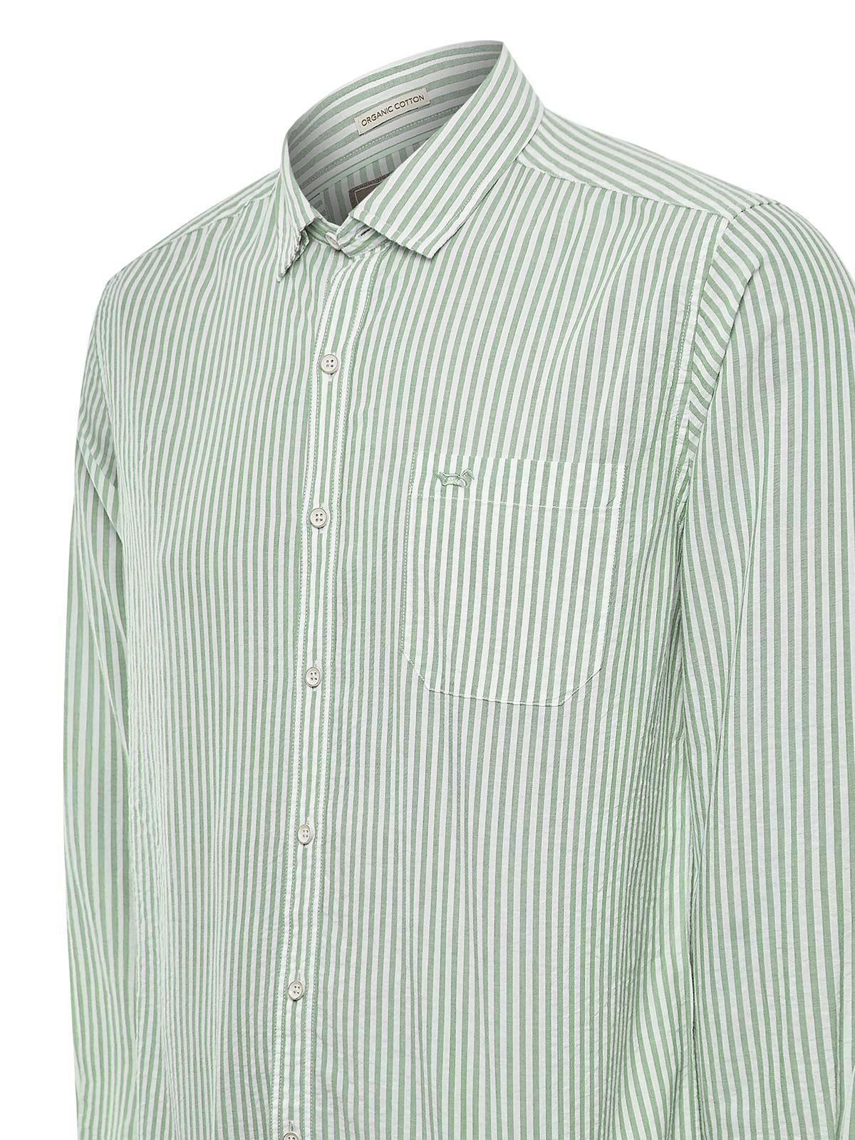 Camisa Algodón Orgánico Hombre Raya Verde-3