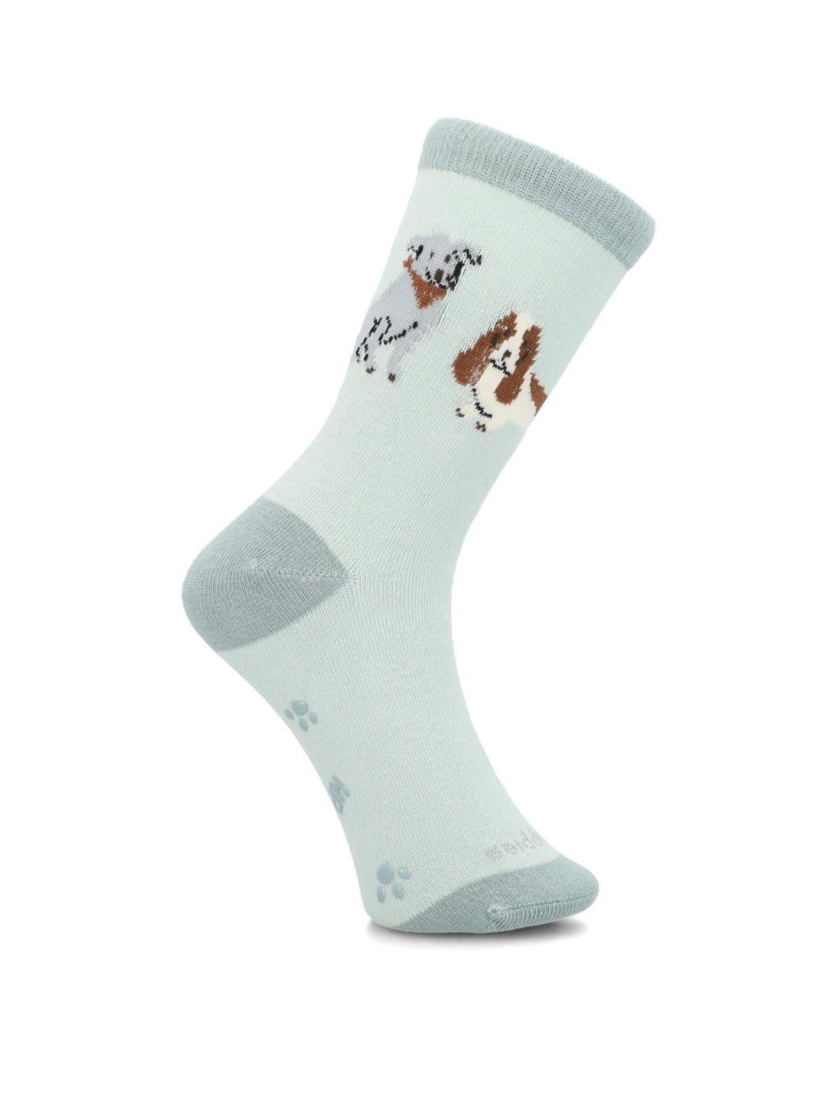 Pack 3 Calcetines Algodón Niño Pack Gift Dog Azul-4