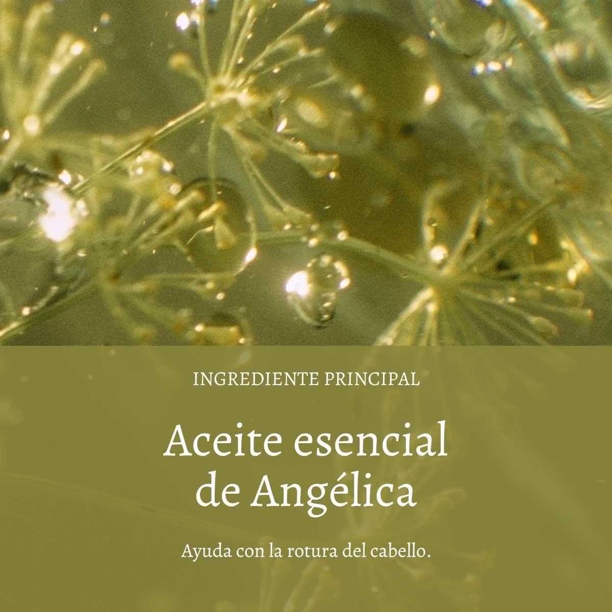 Serum Capilar Anti-frizz Aromacología 100 ml L'Occitane-3