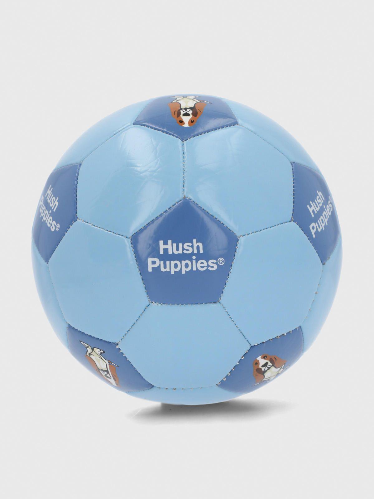 Pelota  Niño Minibalon Hp Dog Azul-1