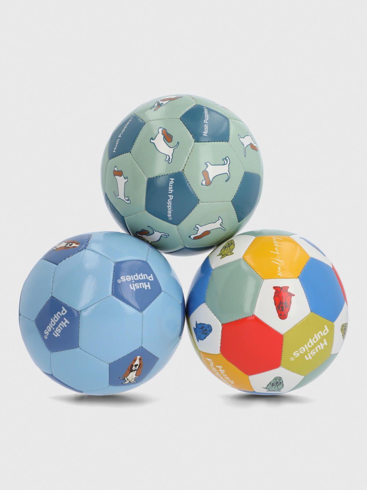Pelota  Niño Minibalon Hp Dog Azul-2