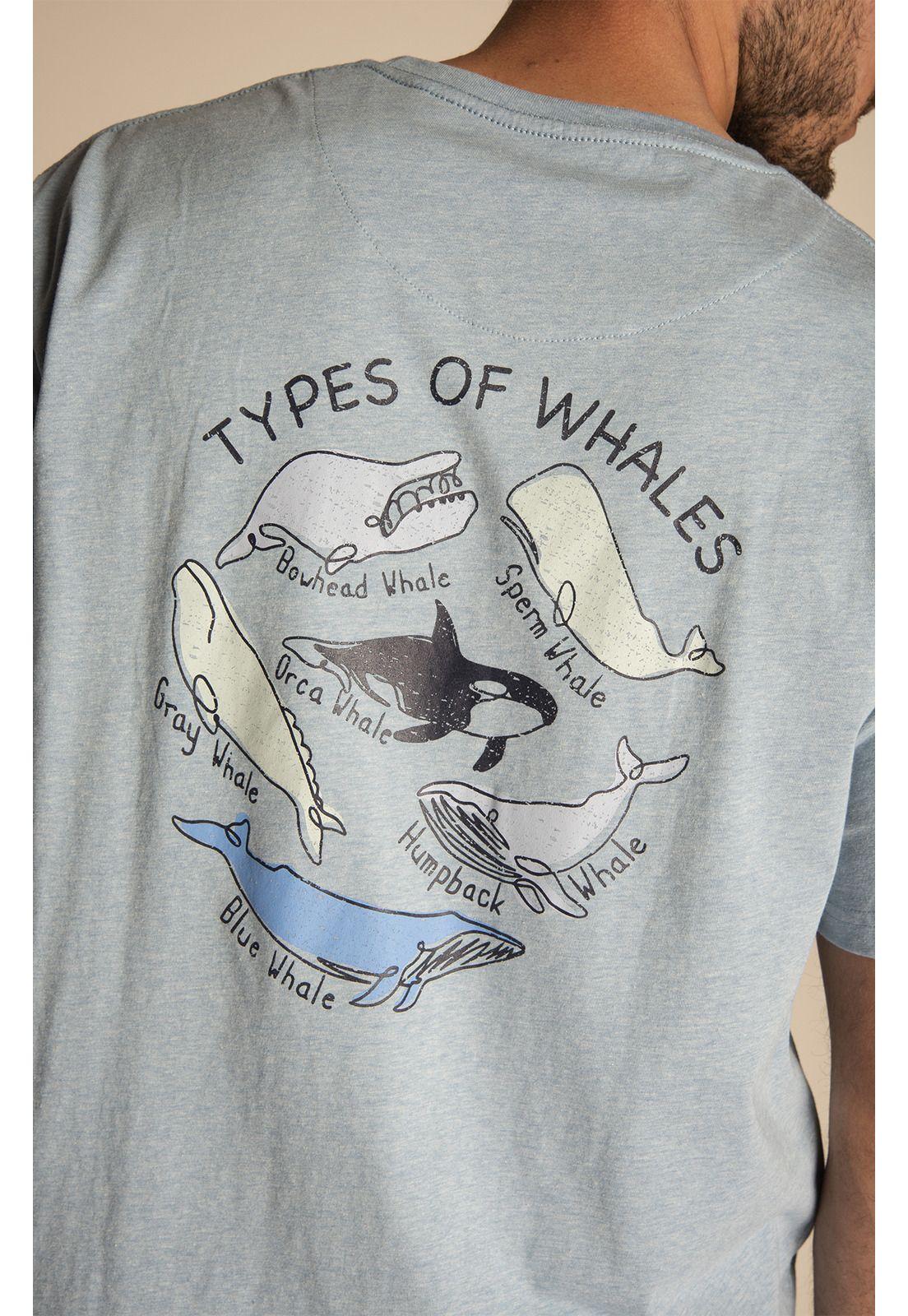 Polera Hombre Niceprint Multicolor-5