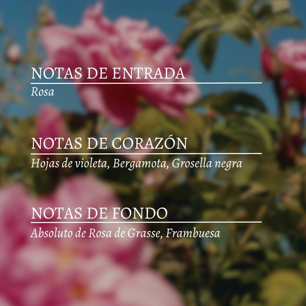 Perfume Mujer Rosas y Reinas EDT 50 ml LOccitane-2