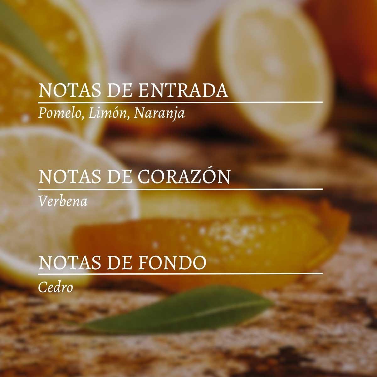 Perfume Unisex Verbena Citrus EDT 100 ml-3