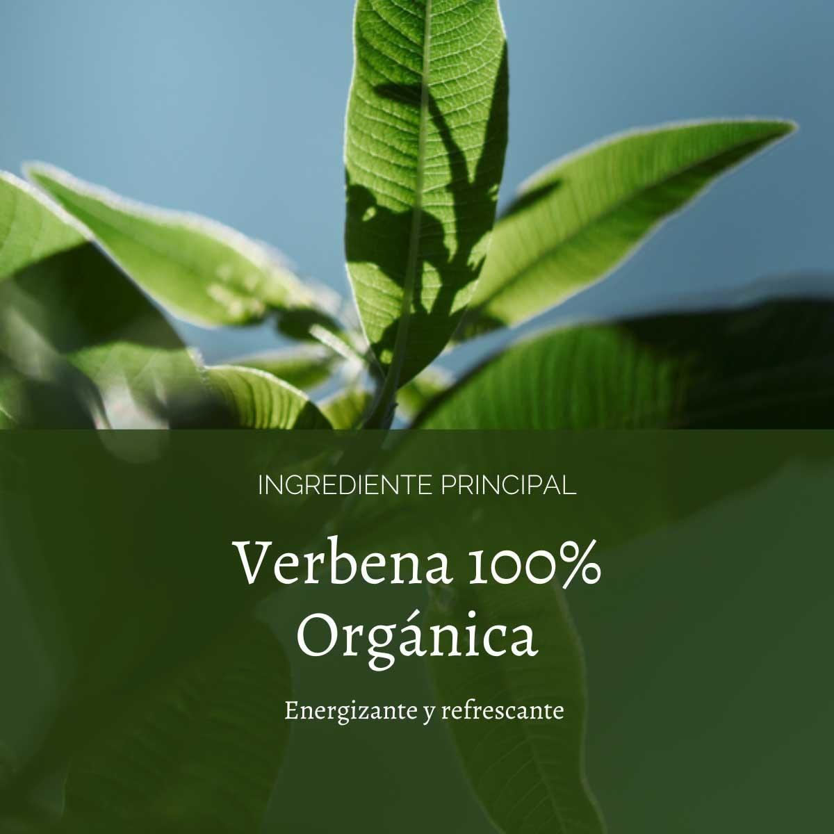 Perfume Unisex Verbena Citrus EDT 100 ml-4