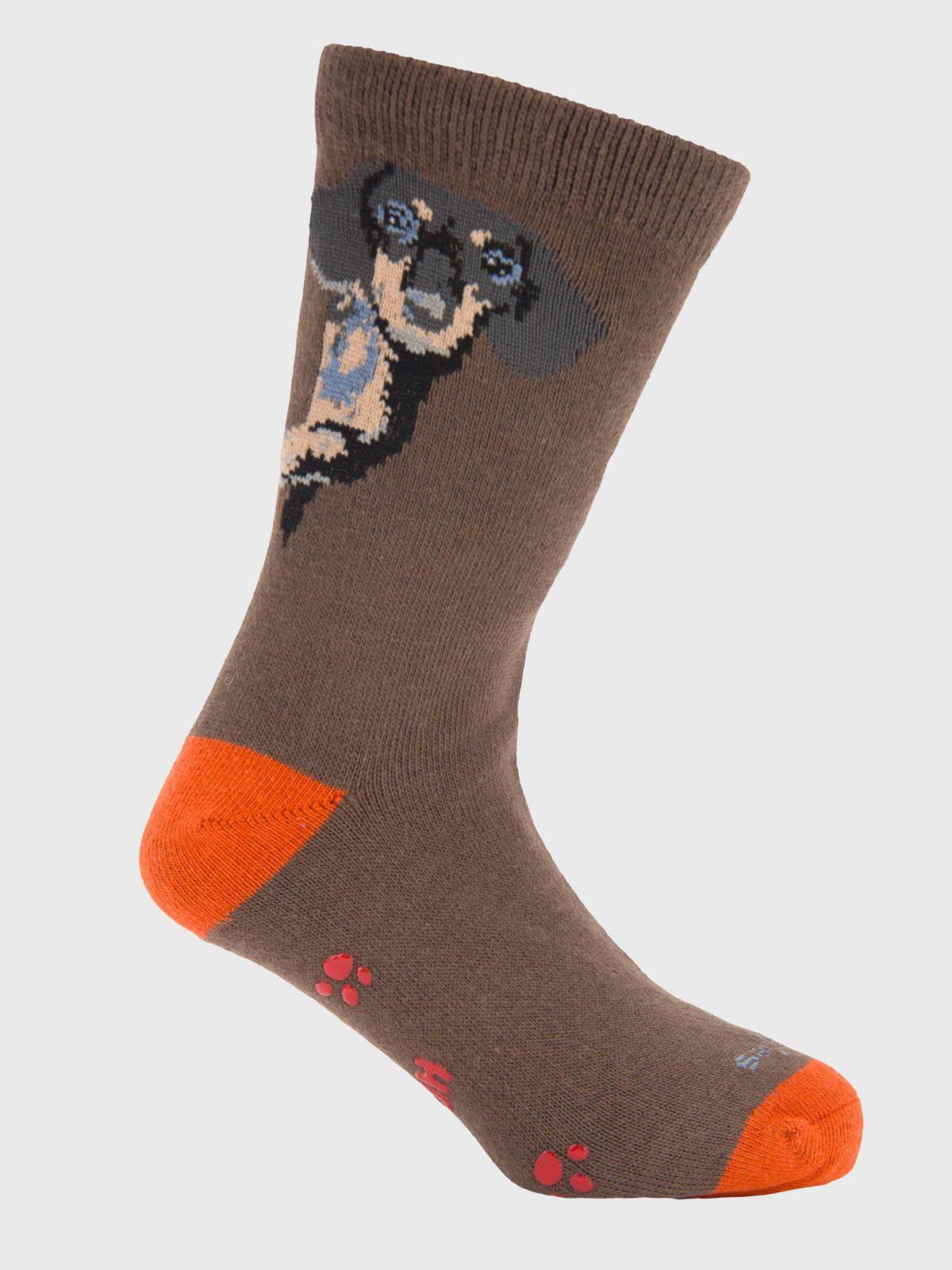 Calcetin Algodón Niño C Dachshund Café-0