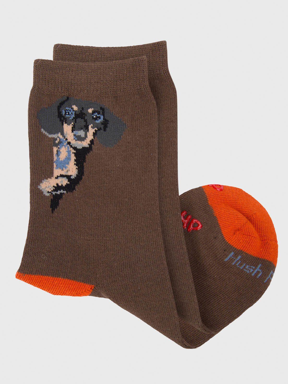 Calcetin Algodón Niño C Dachshund Café-1