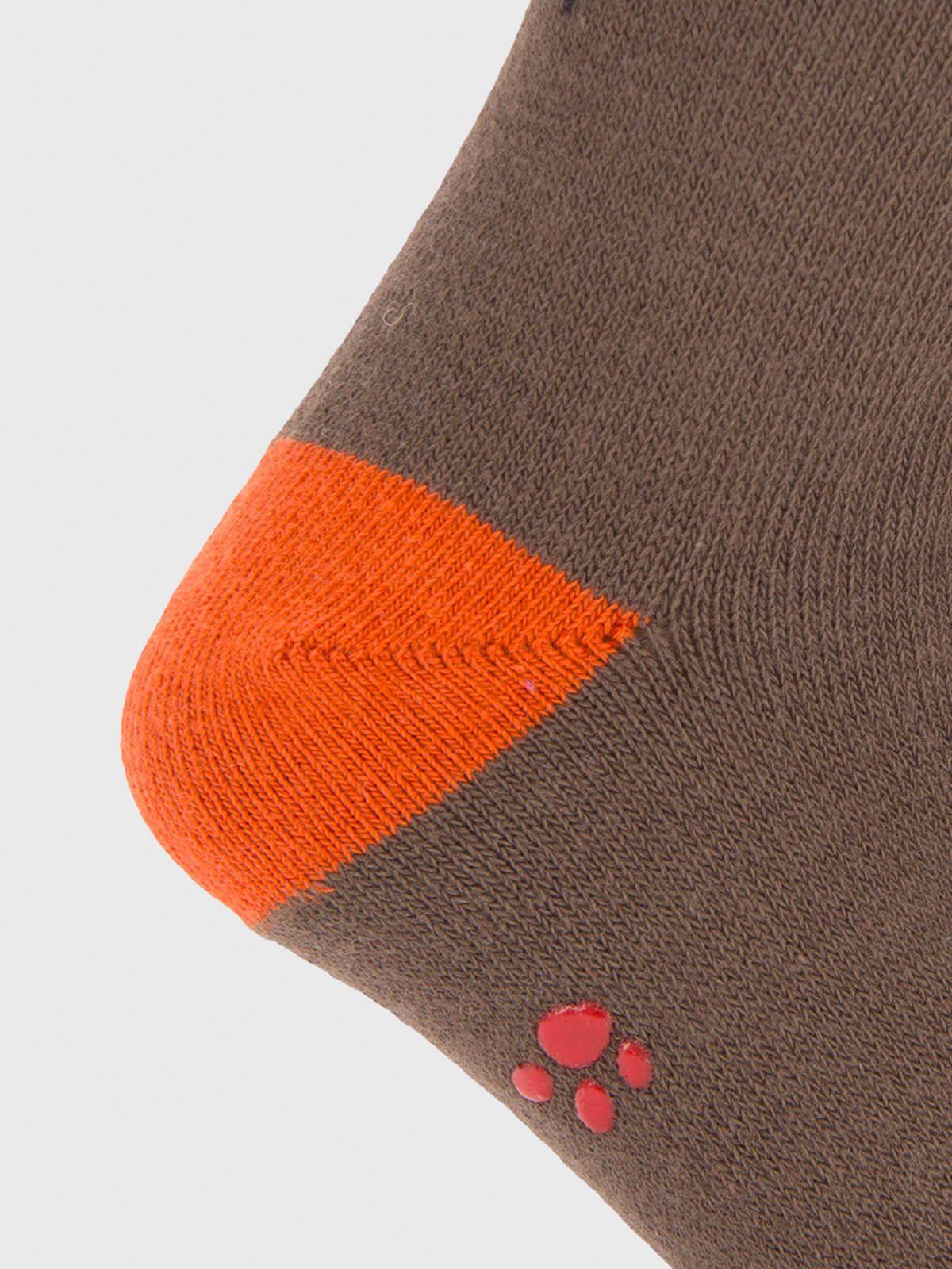 Calcetin Algodón Niño C Dachshund Café-2