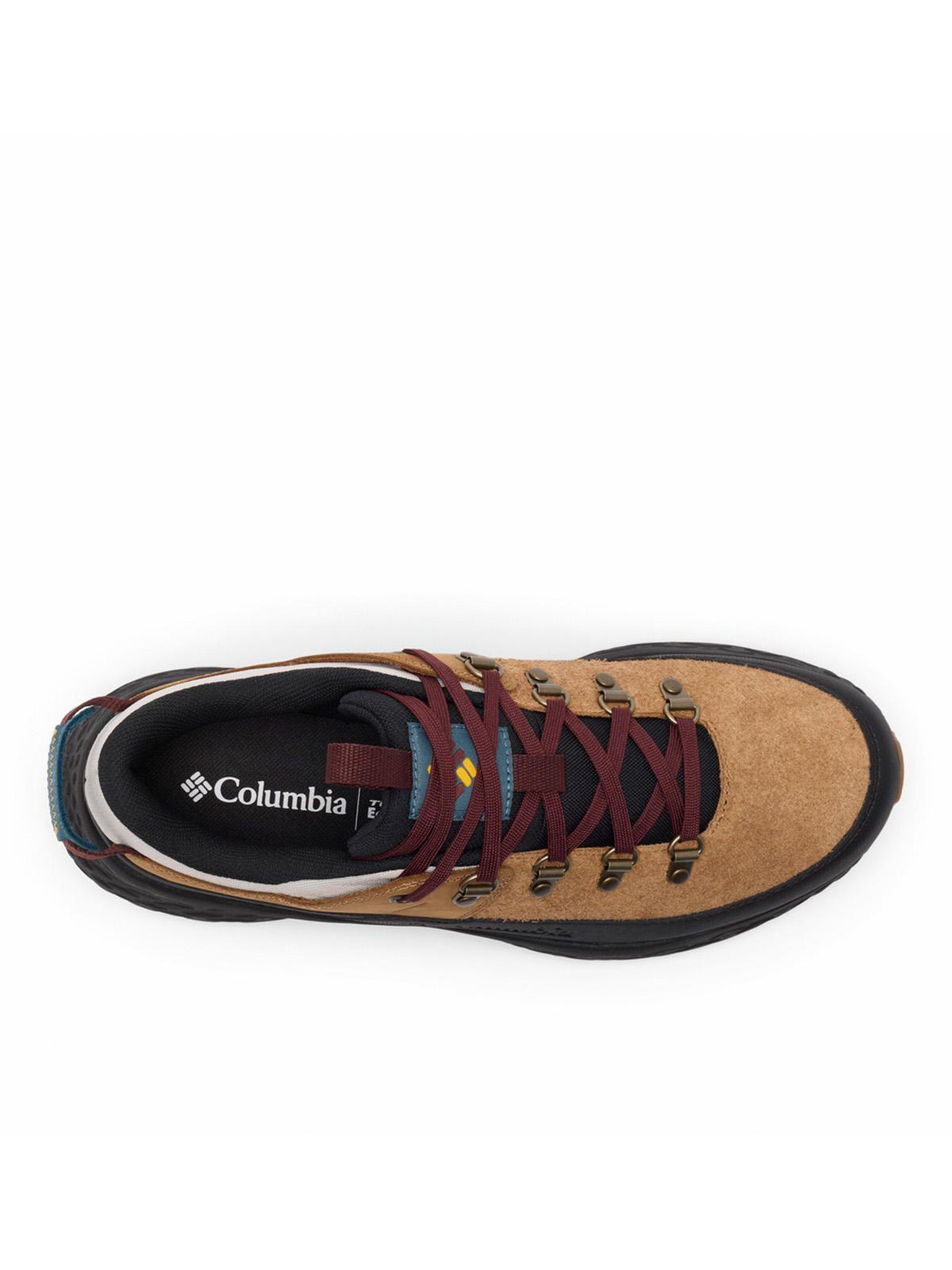 Zapatilla Hombre Terrastride BC Beige-8