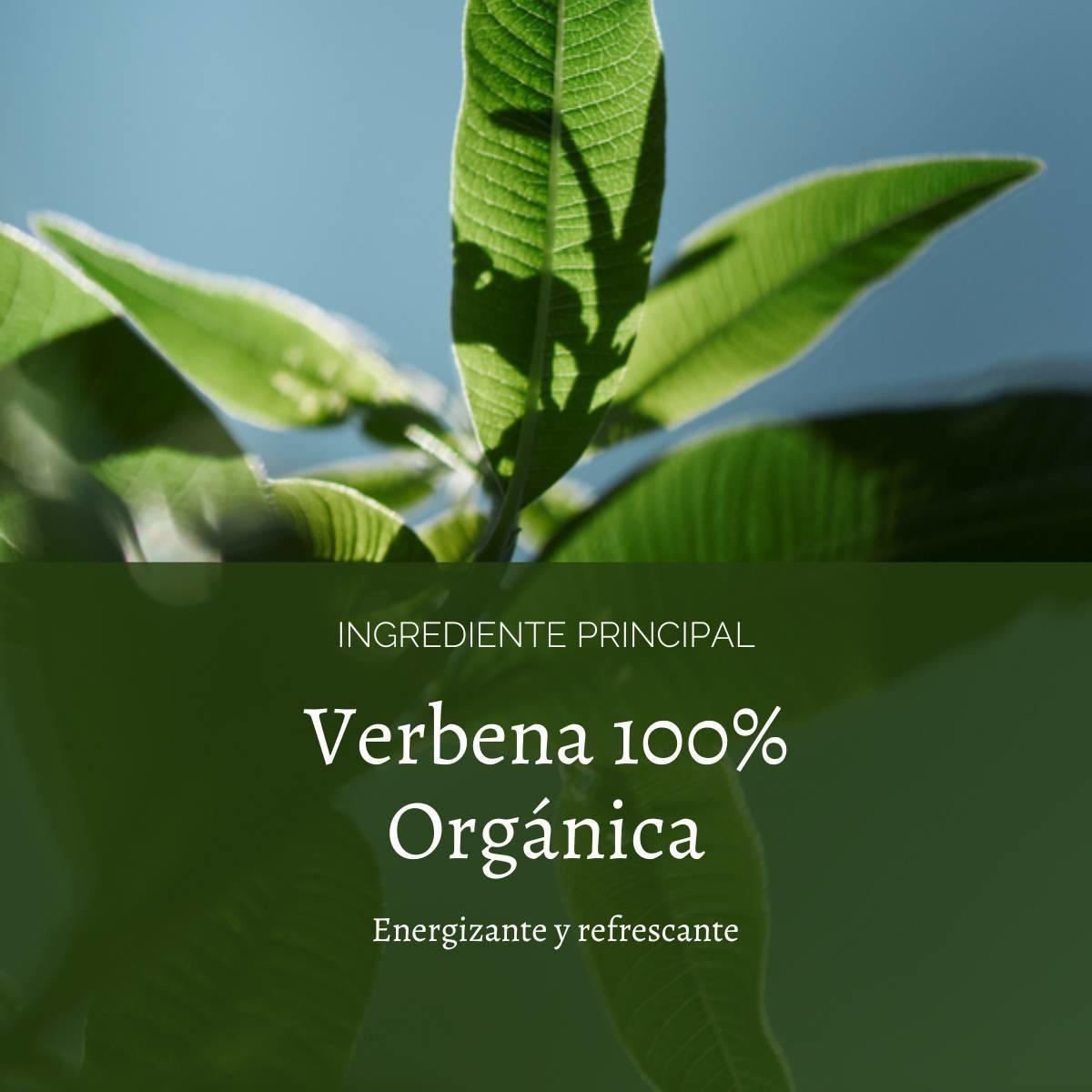 Perfume Unisex Verbena EDT 100 ml LOccitane-4