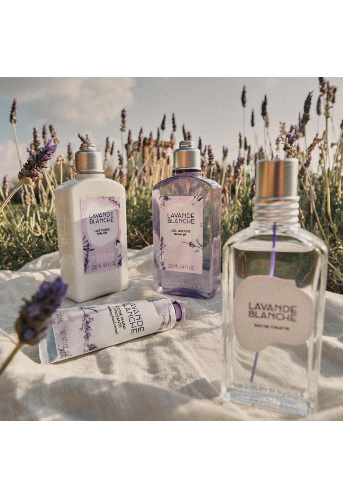 Leche de Cuerpo Lavanda Blanca 250 ml LOccitane-2