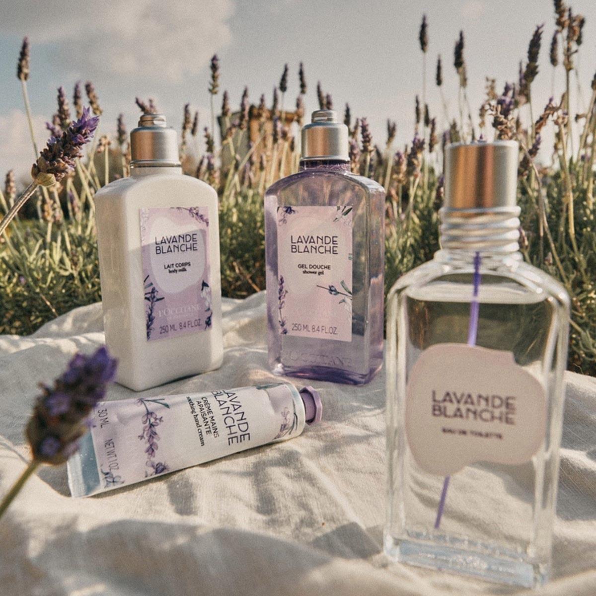 Leche de Cuerpo Lavanda Blanca 250 ml LOccitane-2