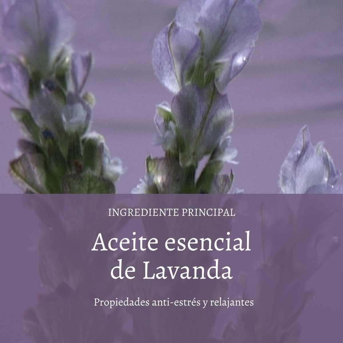 Espuma de Baño Lavanda 500 ml L'Occitane-2