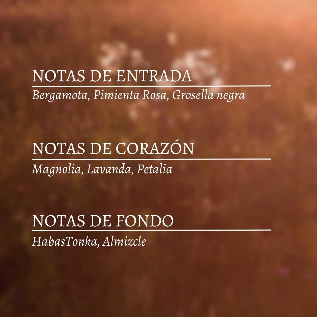 Perfume Mujer Terre de Lumiere Leau EDT 50 ml L'Occitane-2