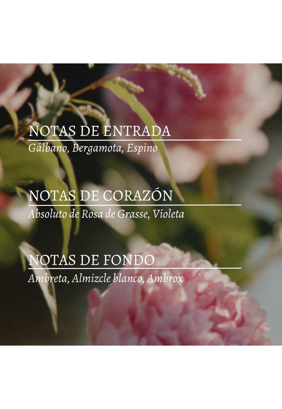 Perfume Mujer Peonia EDT 50 ml L'Occitane-2