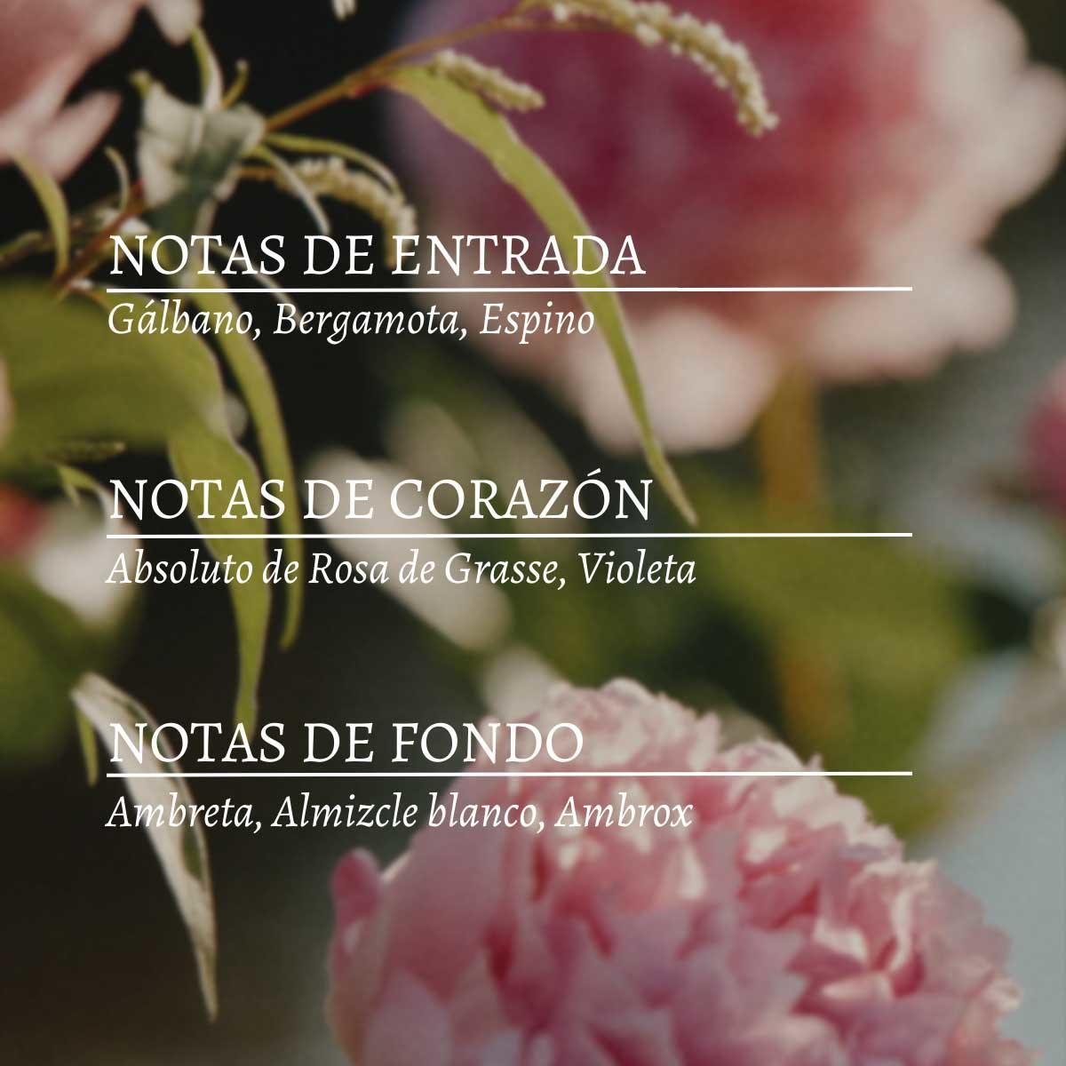 Perfume Mujer Peonia EDT 50 ml L'Occitane-2