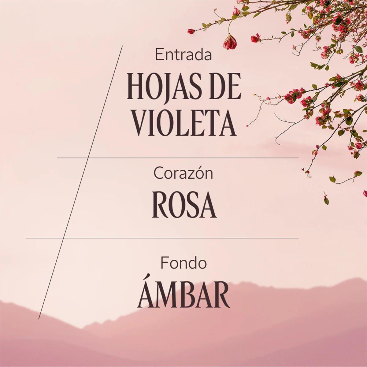 Perfume Mujer Rose EDT 50 ml L'Occitane-3