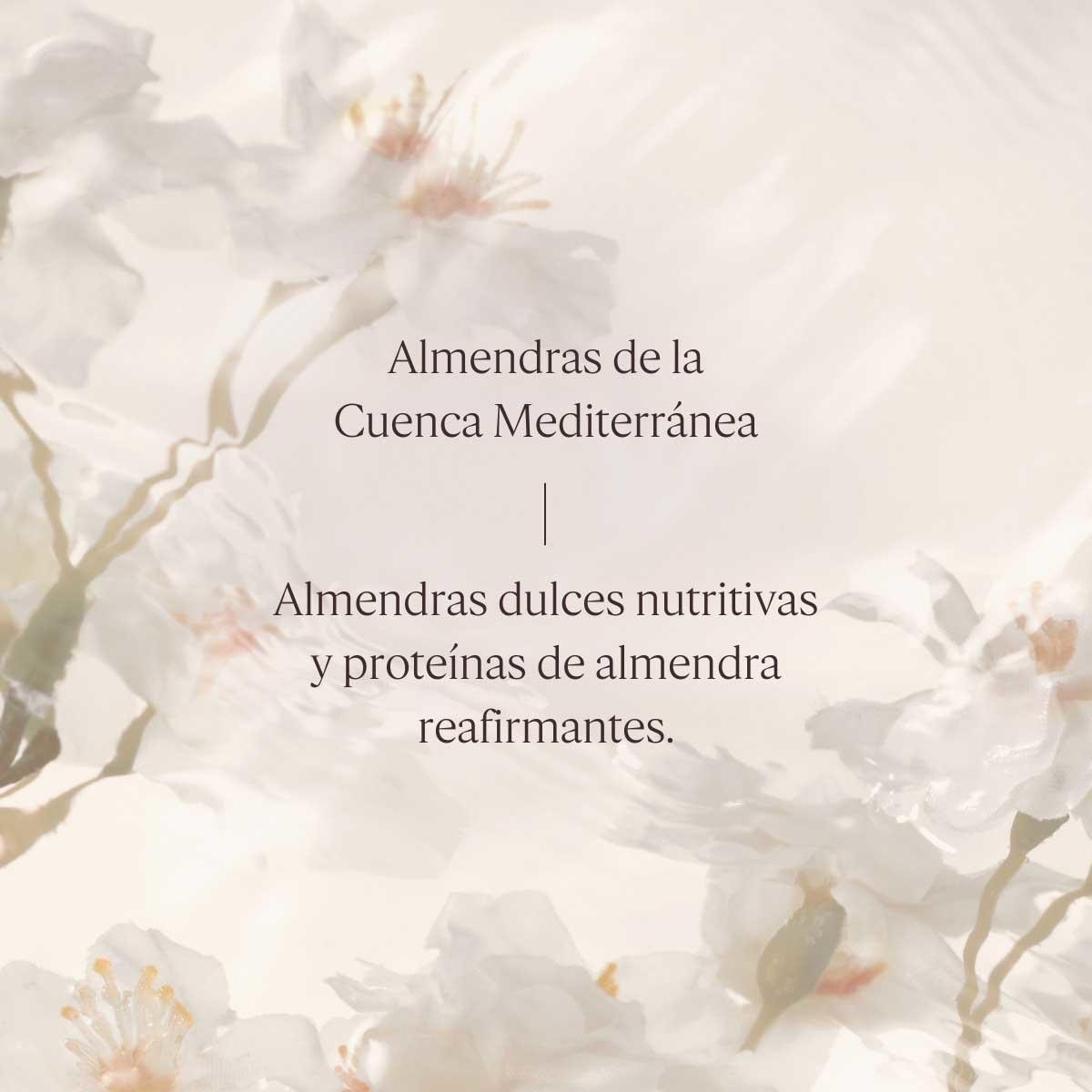 Refill Concentrado Reafirmante De Cuerpo Almendra 200 ml L'Occitane-5