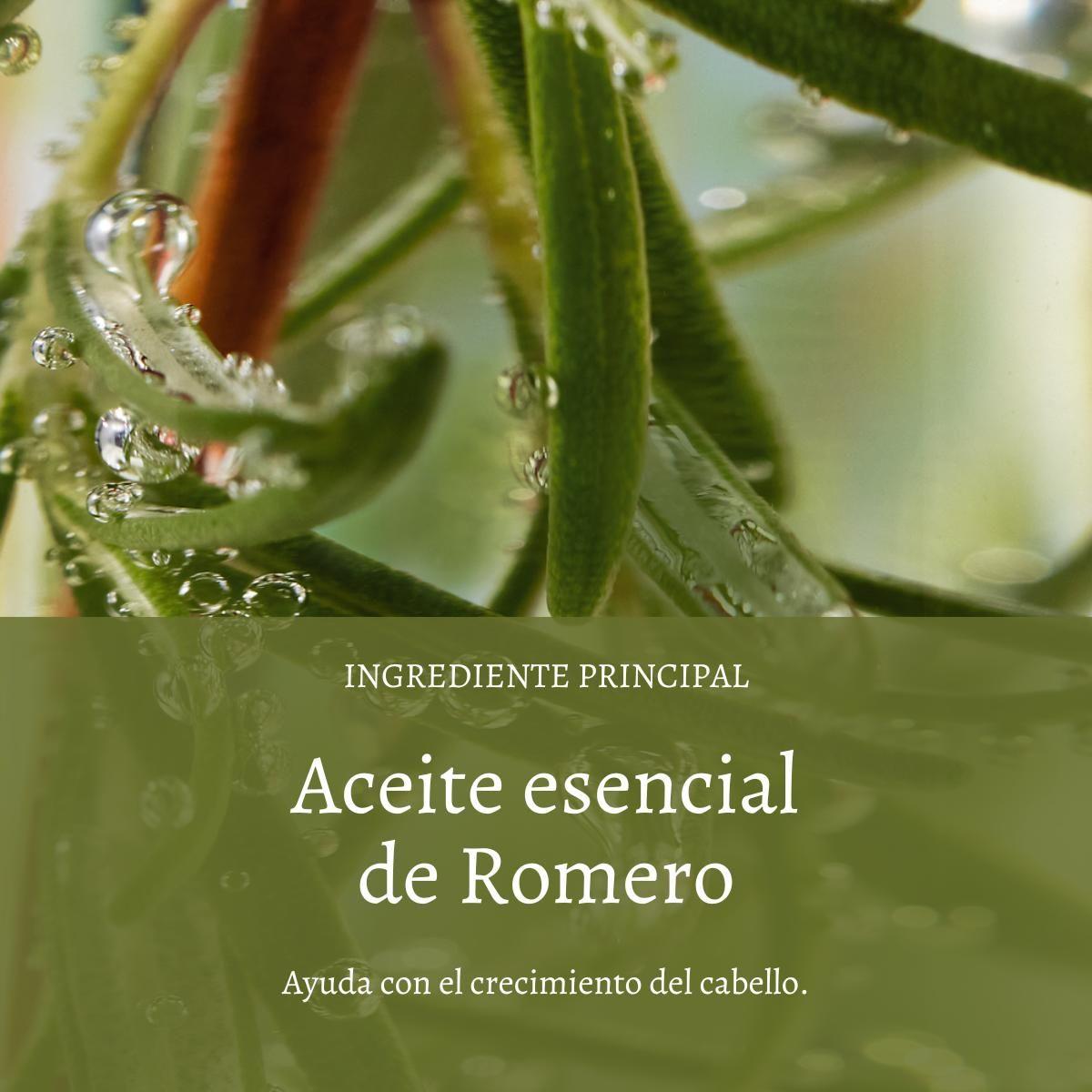 Refill Shampoo Fuerza Y Volumen 500 ml L'Occitane-2