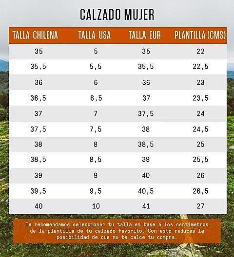 Botin Mujer Encore Ice 5 Zip Café-2