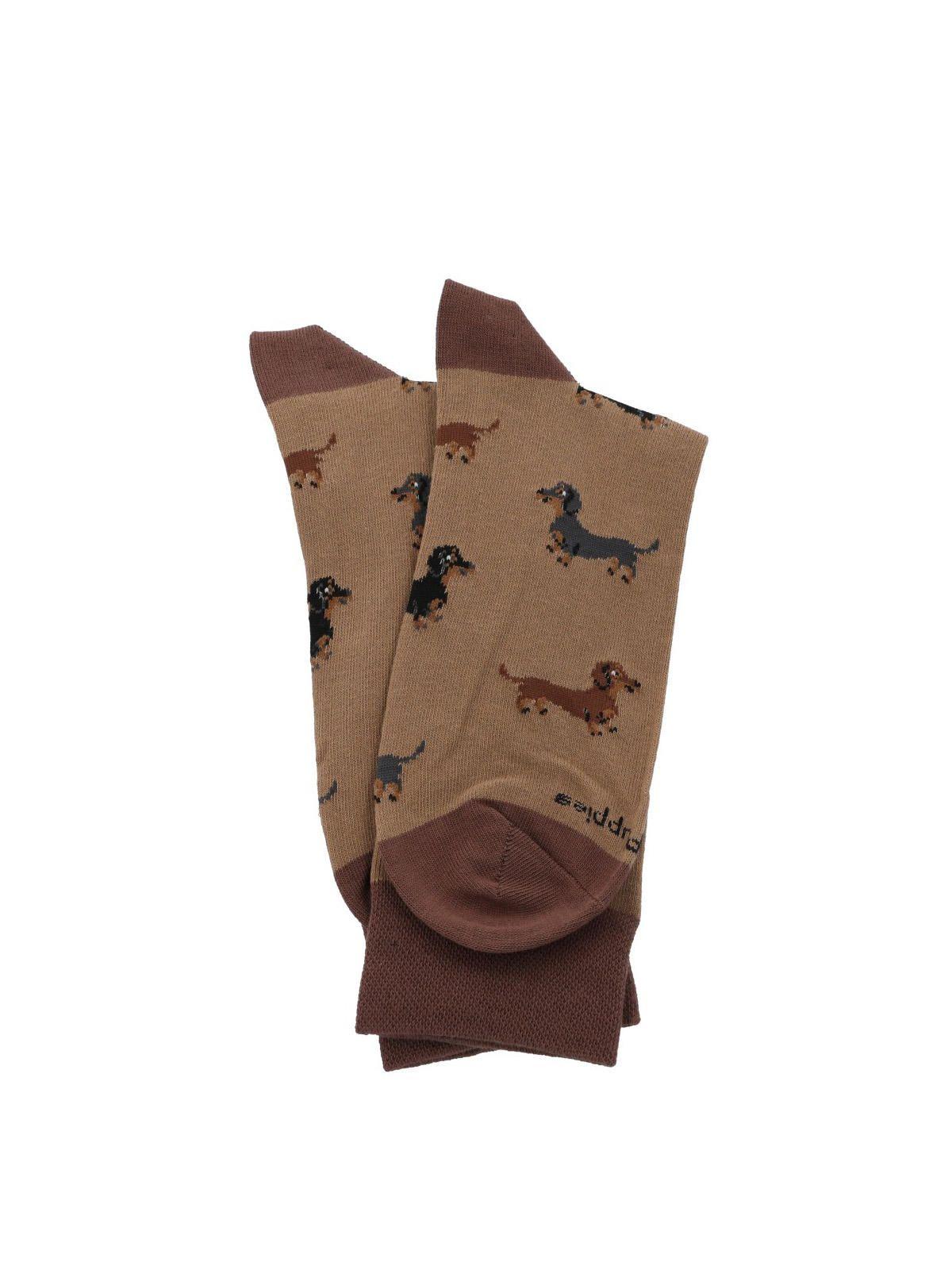 Calcetín Algodón Hombre C Cuff Dachshnd Café-2