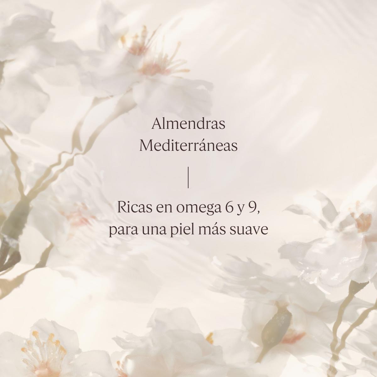 Set Corporal Eco-Refill Aceite de Ducha Almendra  LOccitane-5