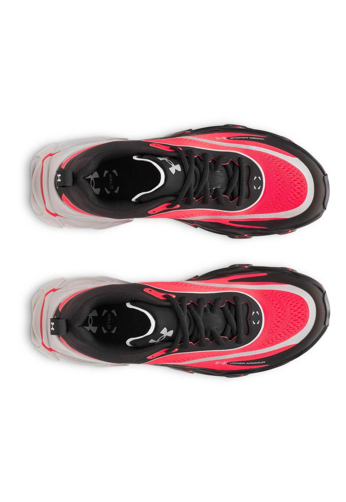 Zapatilla Running Hombre Halo Racer Negro/Rojo -4