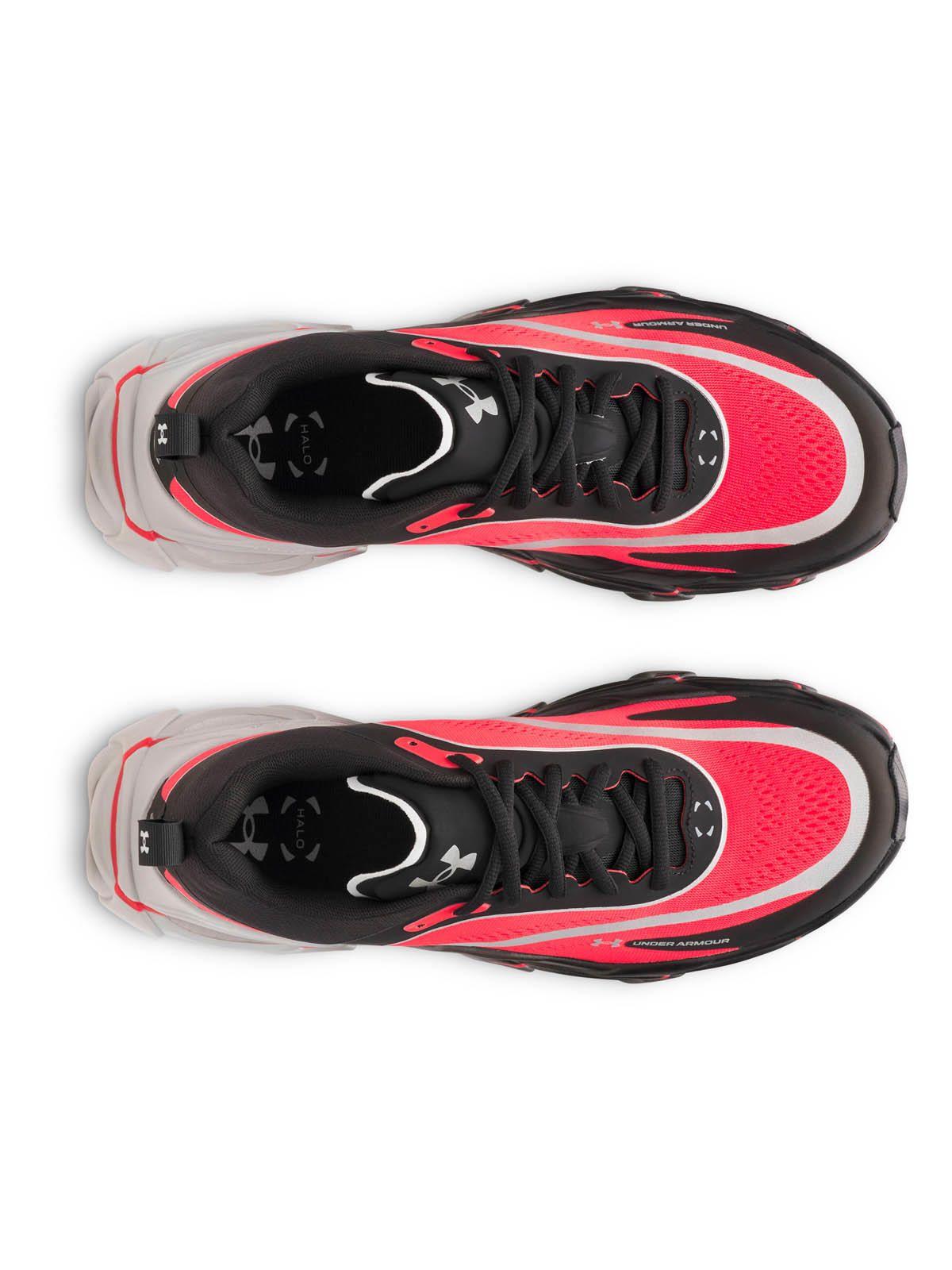 Zapatilla Running Hombre Halo Racer Negro/Rojo -4