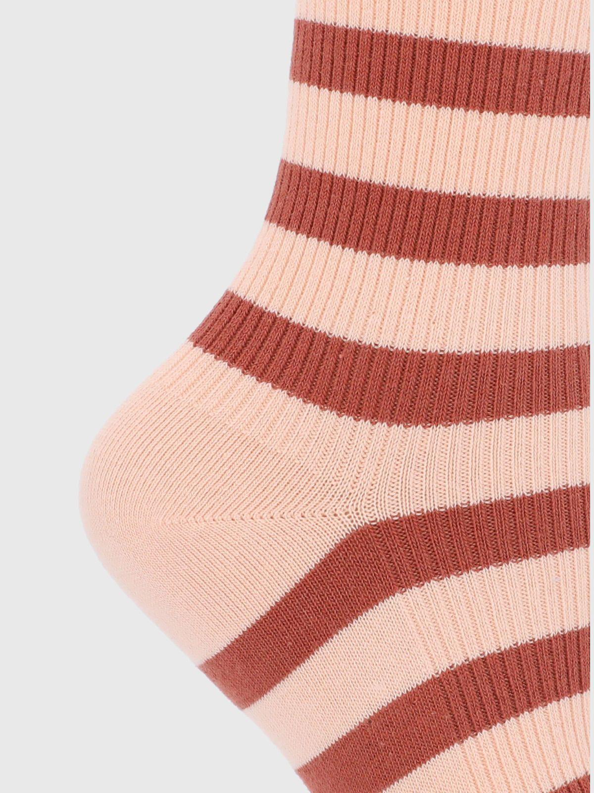 Calcetin Algodón Mujer C Stripes Rosado-2