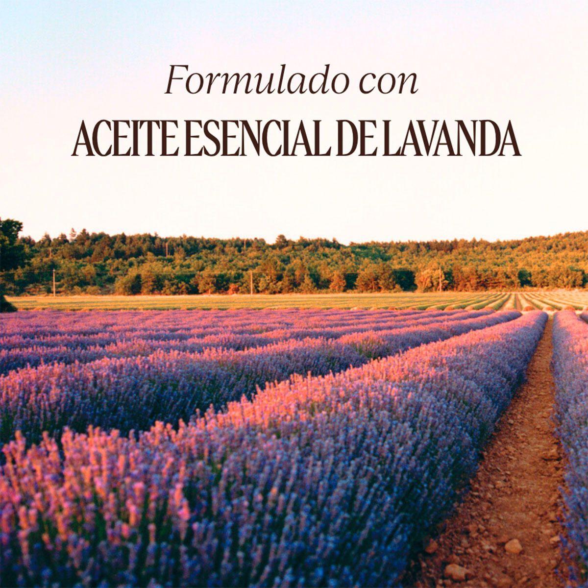 Crema de Manos Lavanda 75 ml-3