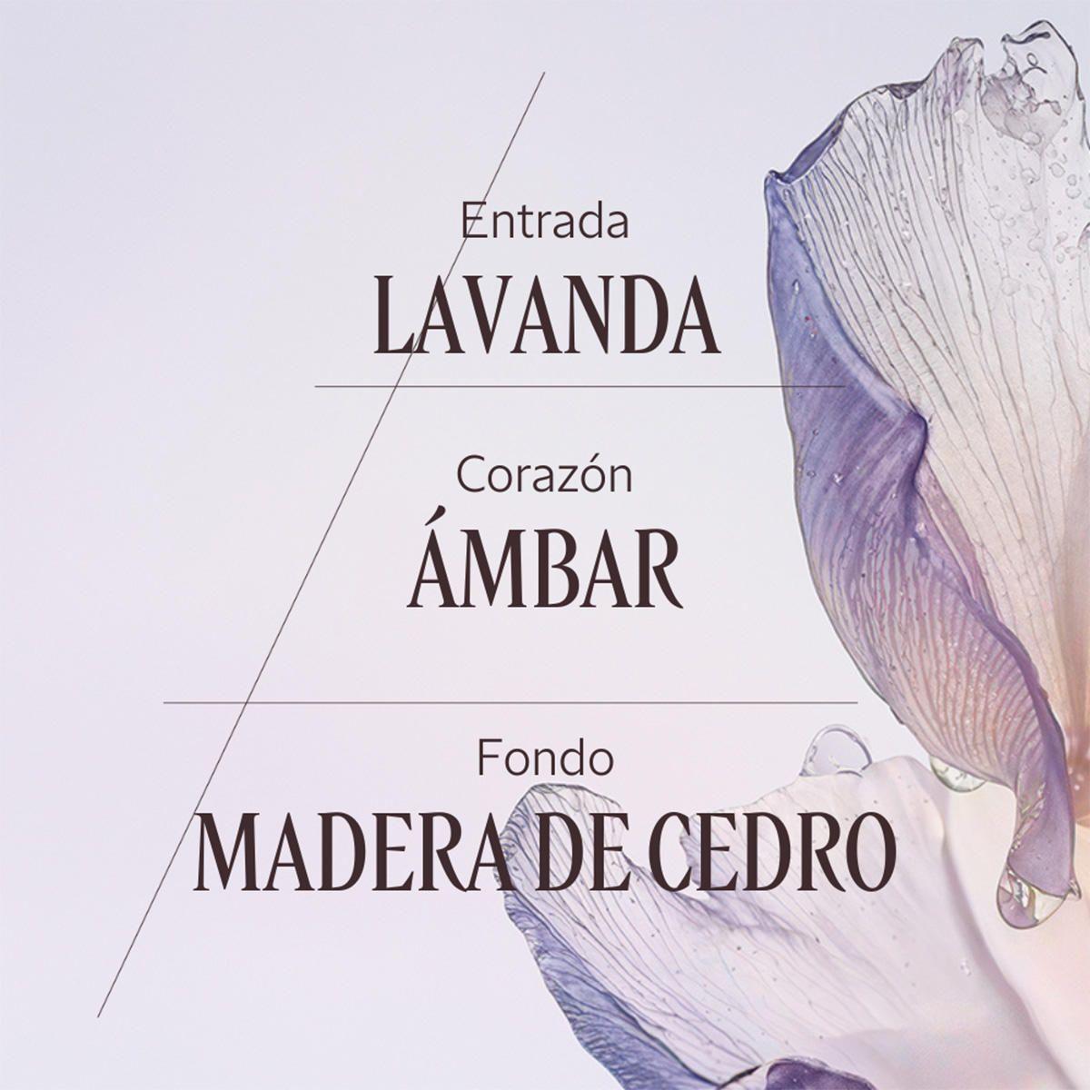 Perfume Unisex Lavande Blanche EDT 50 ml L'Occitane-3