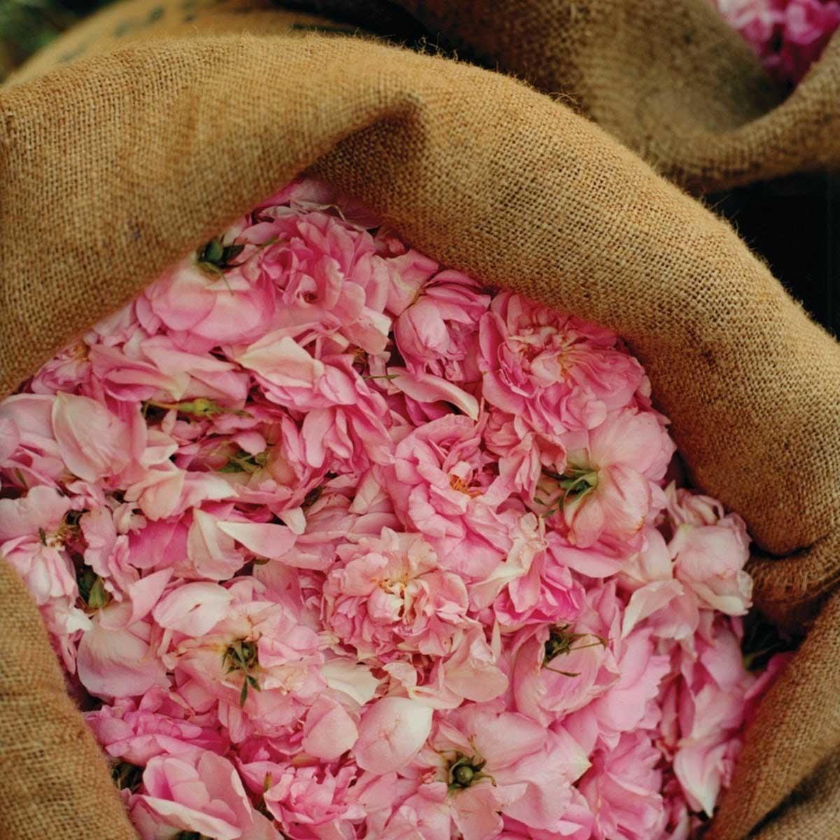 Crema De Manos Rosa 75 ml L'Occitane-2