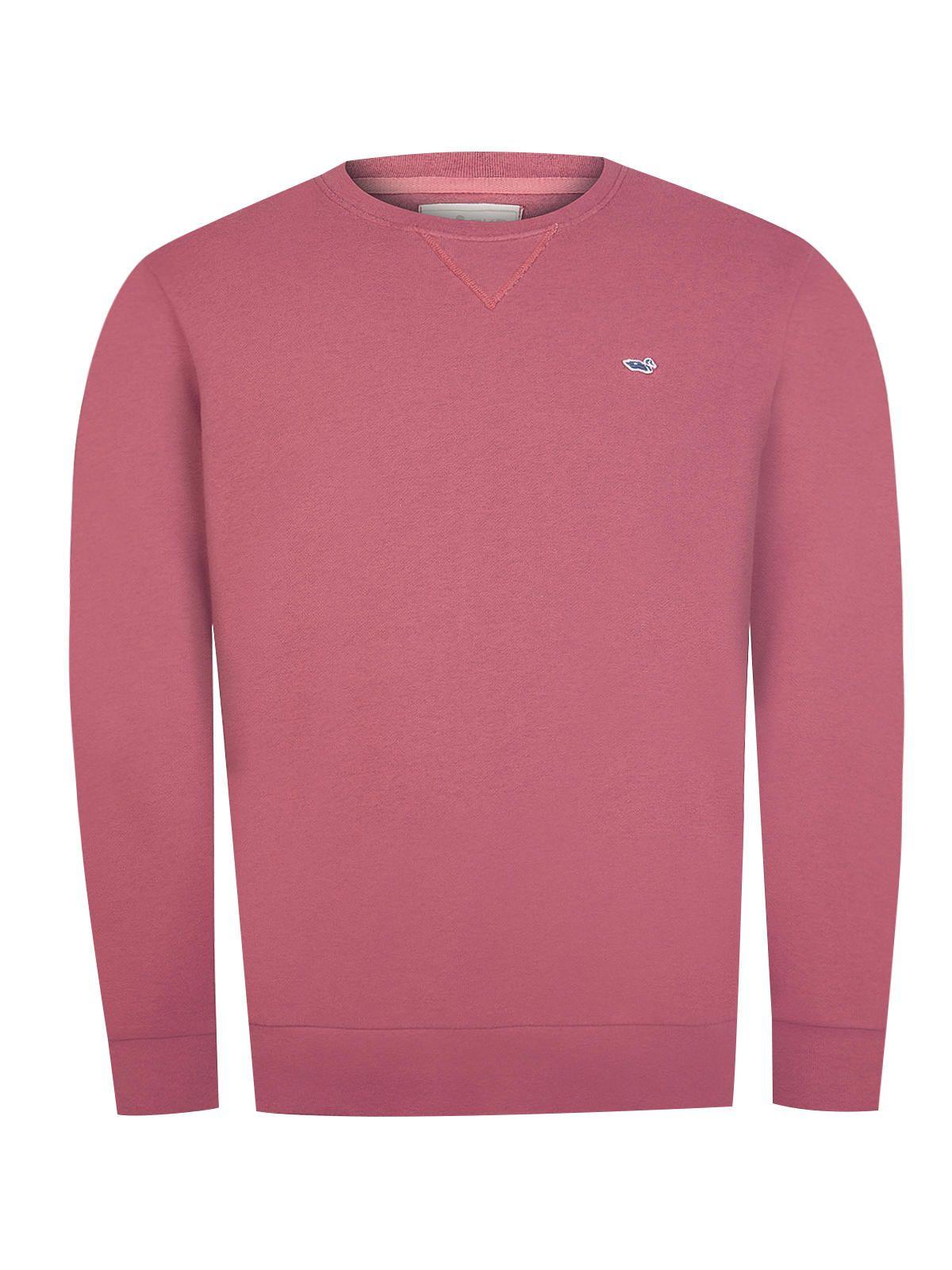 Polerón Algodón Orgánico Rosado Frateli Hombre -0