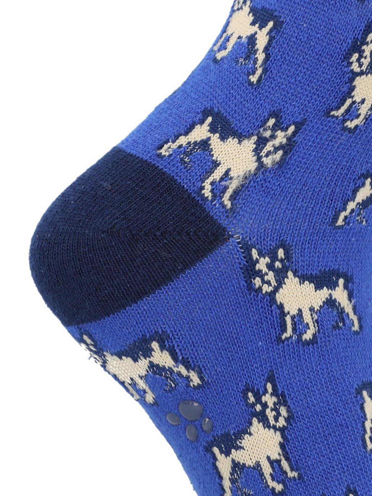 Calcetín Algodón Niño C Pug Azul-1