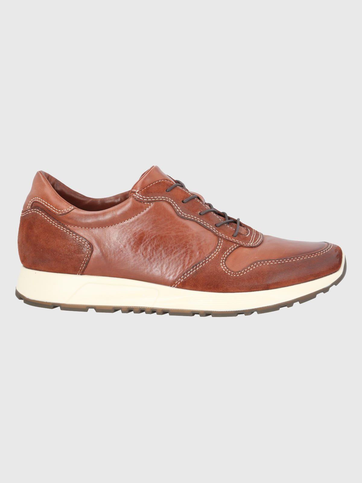 Zapatilla Cuero Café Hombre Paramus -1