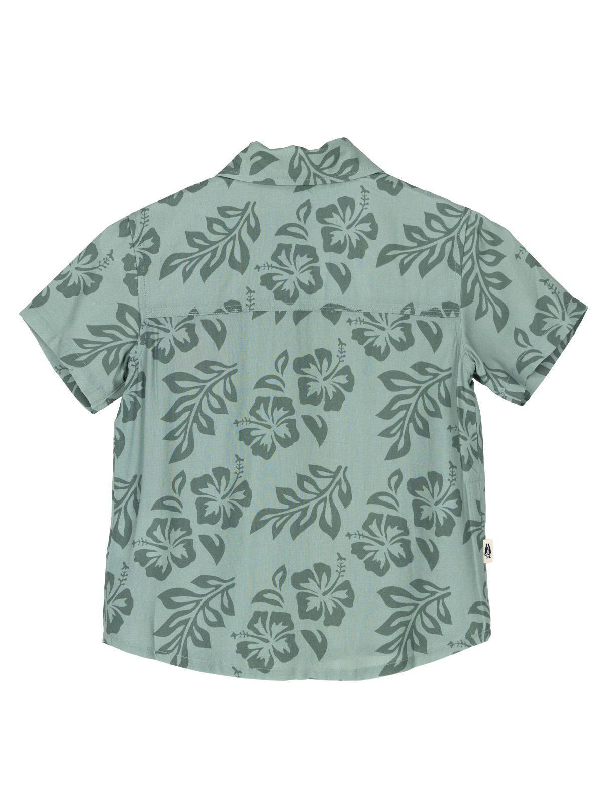 Camisa Niño Hibisco Verde-5