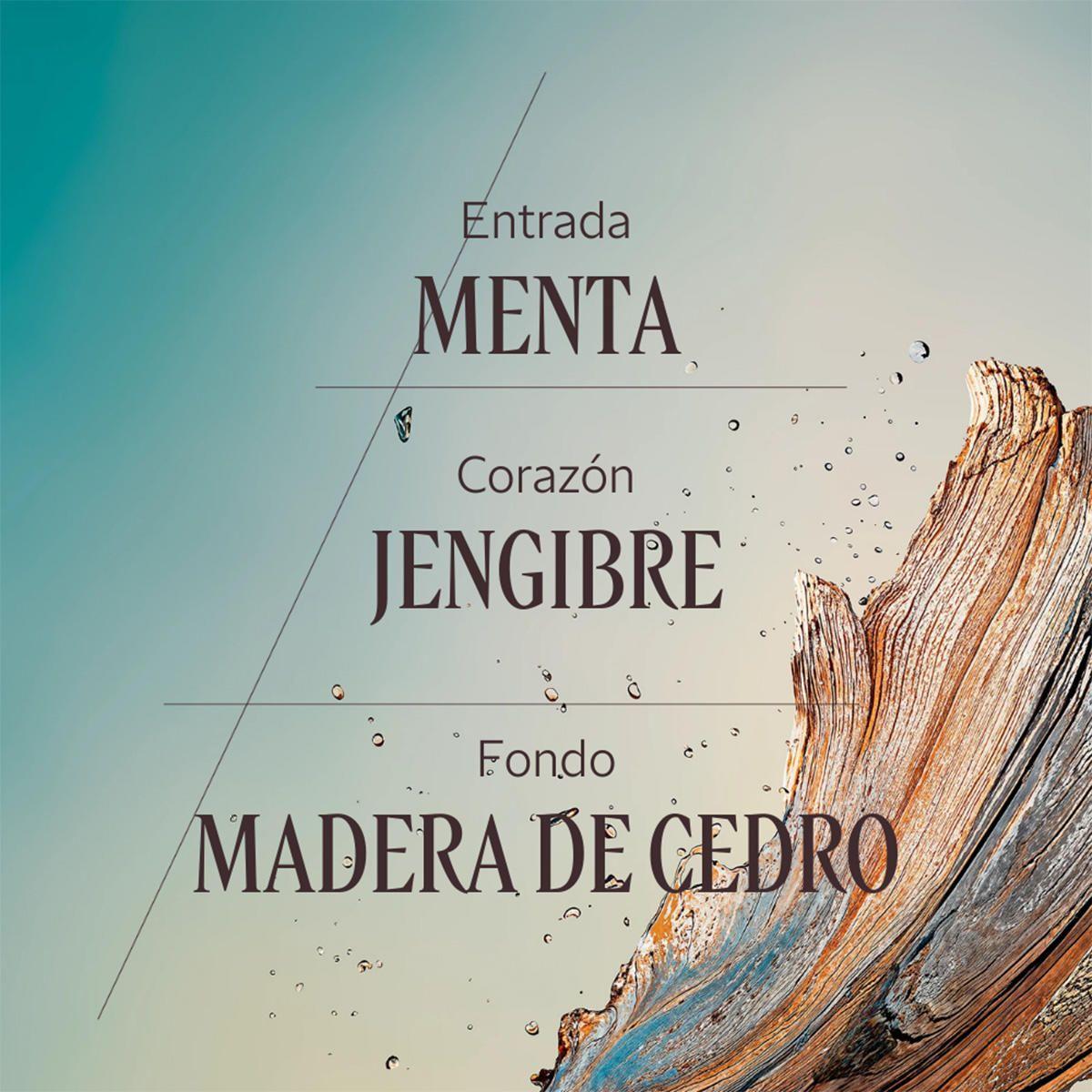 Perfume Hombre Cédre Gingembre EDT 50 ml L'Occitane-3