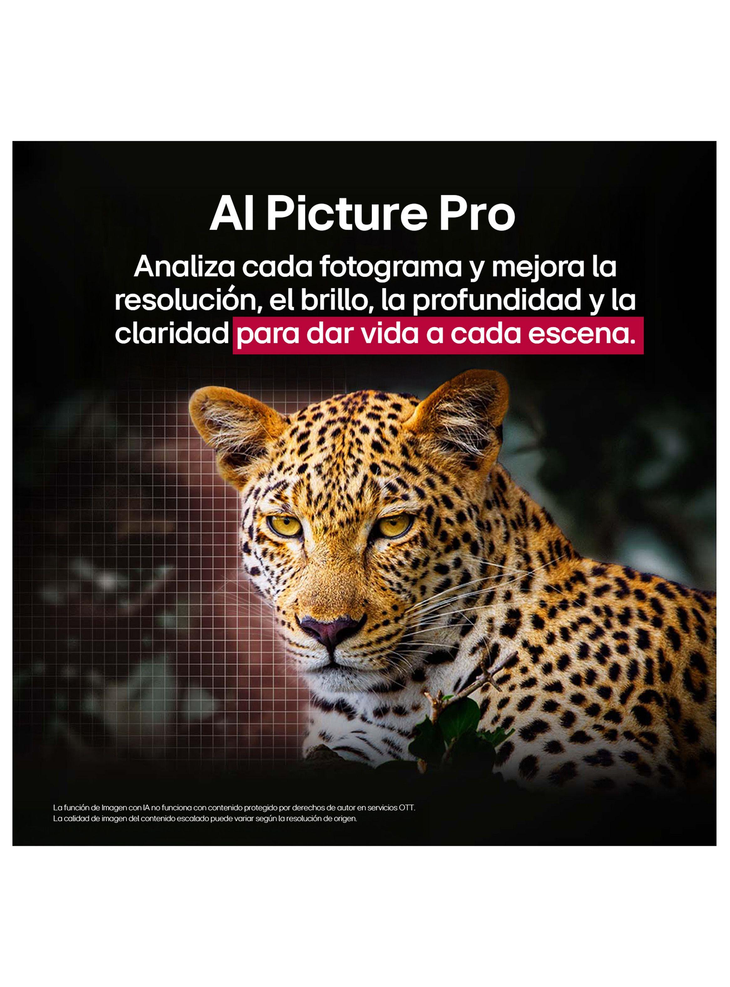 Televisor LED Web OS 50" Smart TV 4K UHD 50UA7500PSA LG (2025)-5