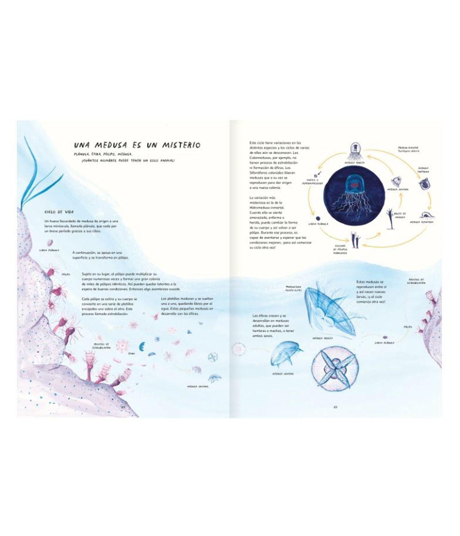 Libro para Preadolescentes - Misteriosas Medusas-3