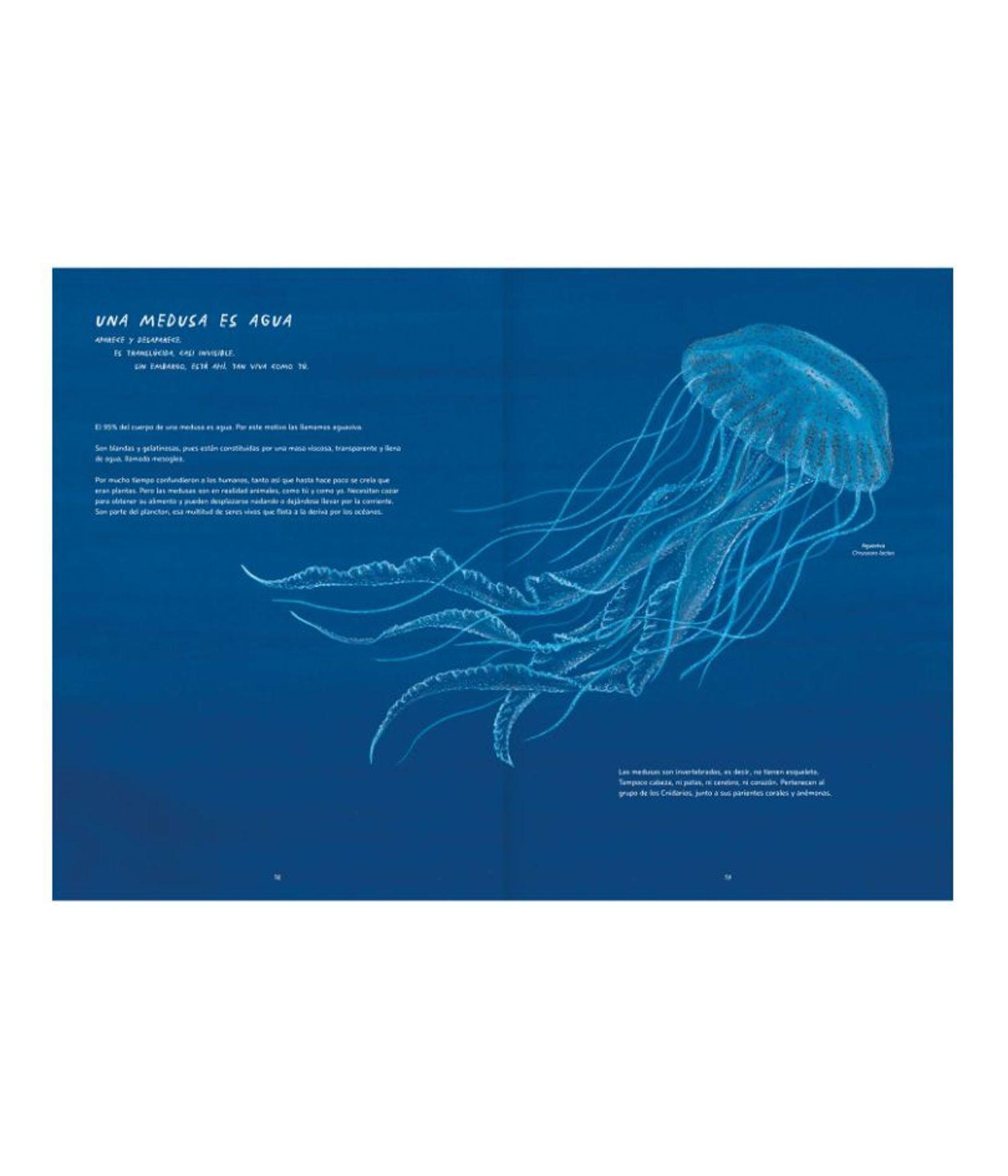 Libro para Preadolescentes - Misteriosas Medusas-4