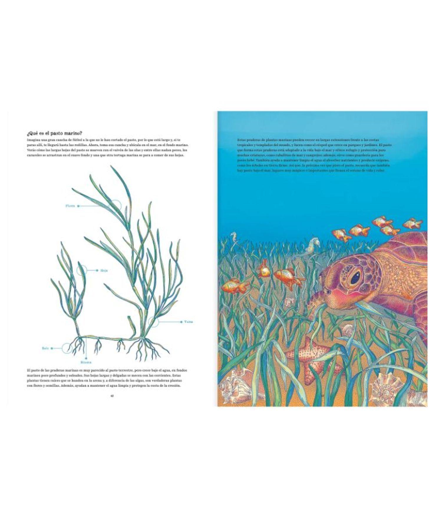 Libro para Preadolescentes - Oceánica-2