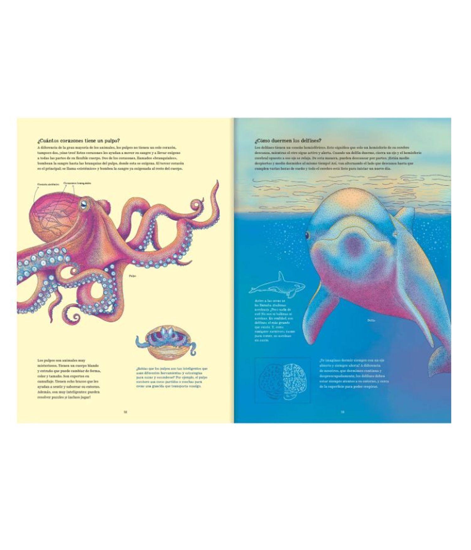 Libro para Preadolescentes - Oceánica-4