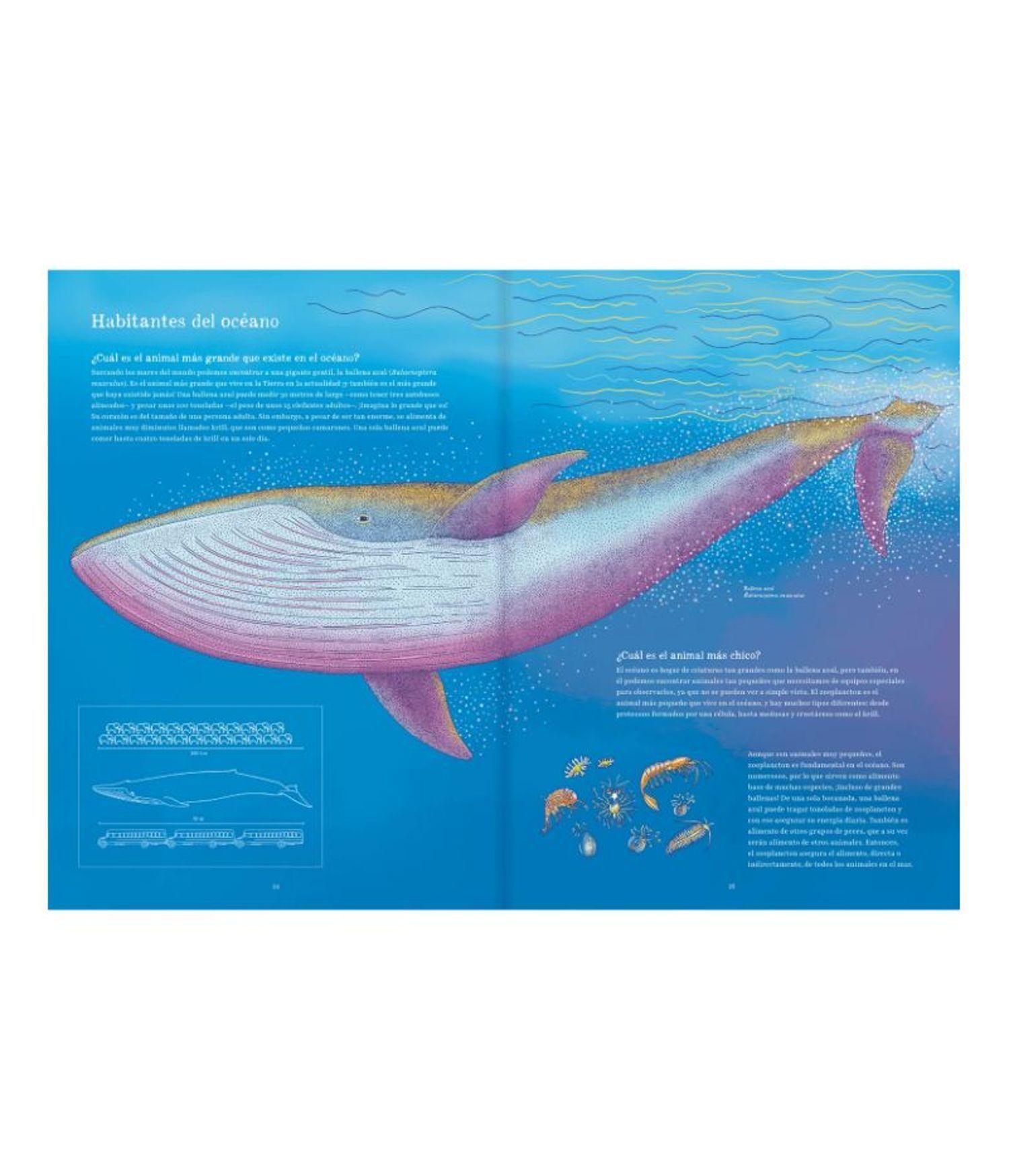 Libro para Preadolescentes - Oceánica-5