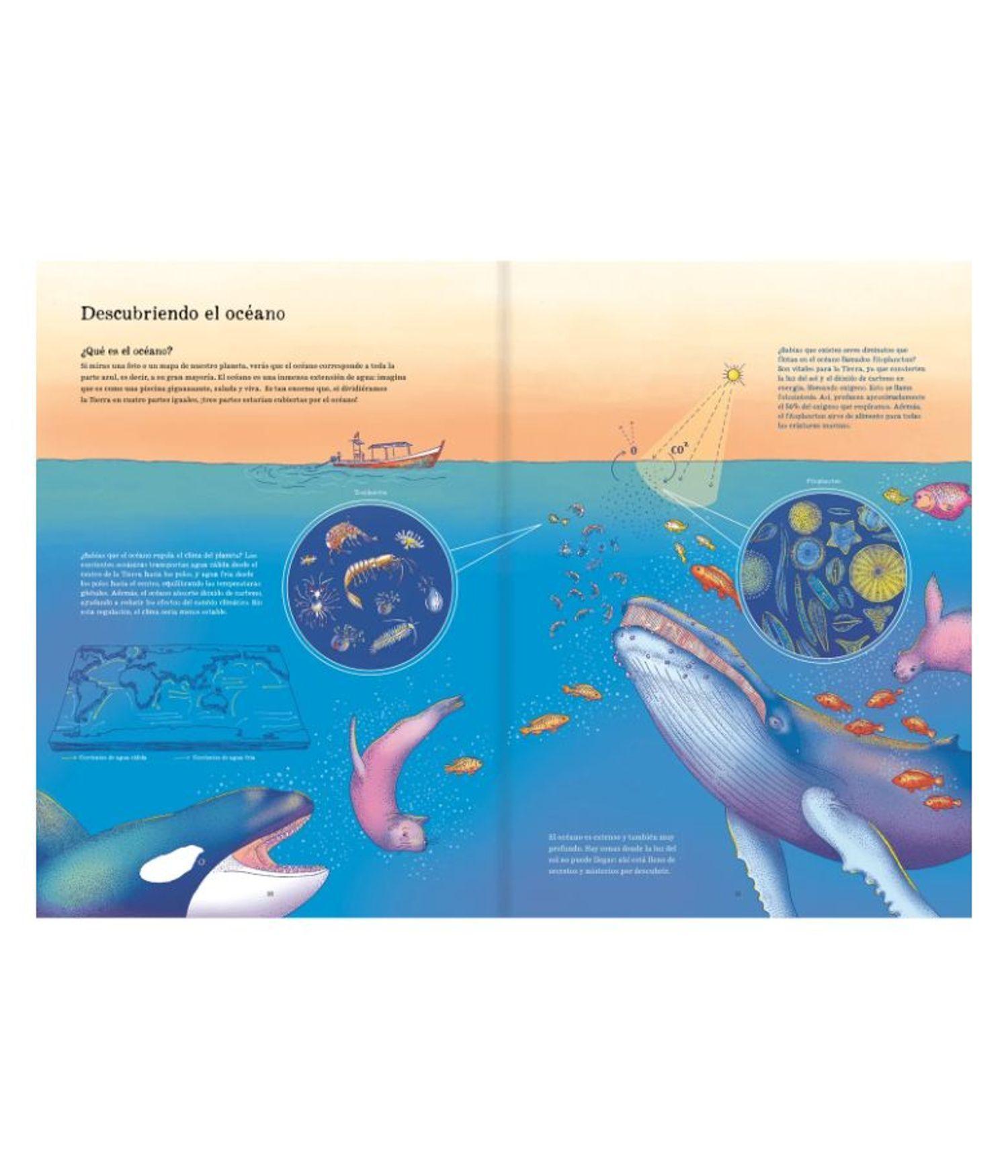 Libro para Preadolescentes - Oceánica-6