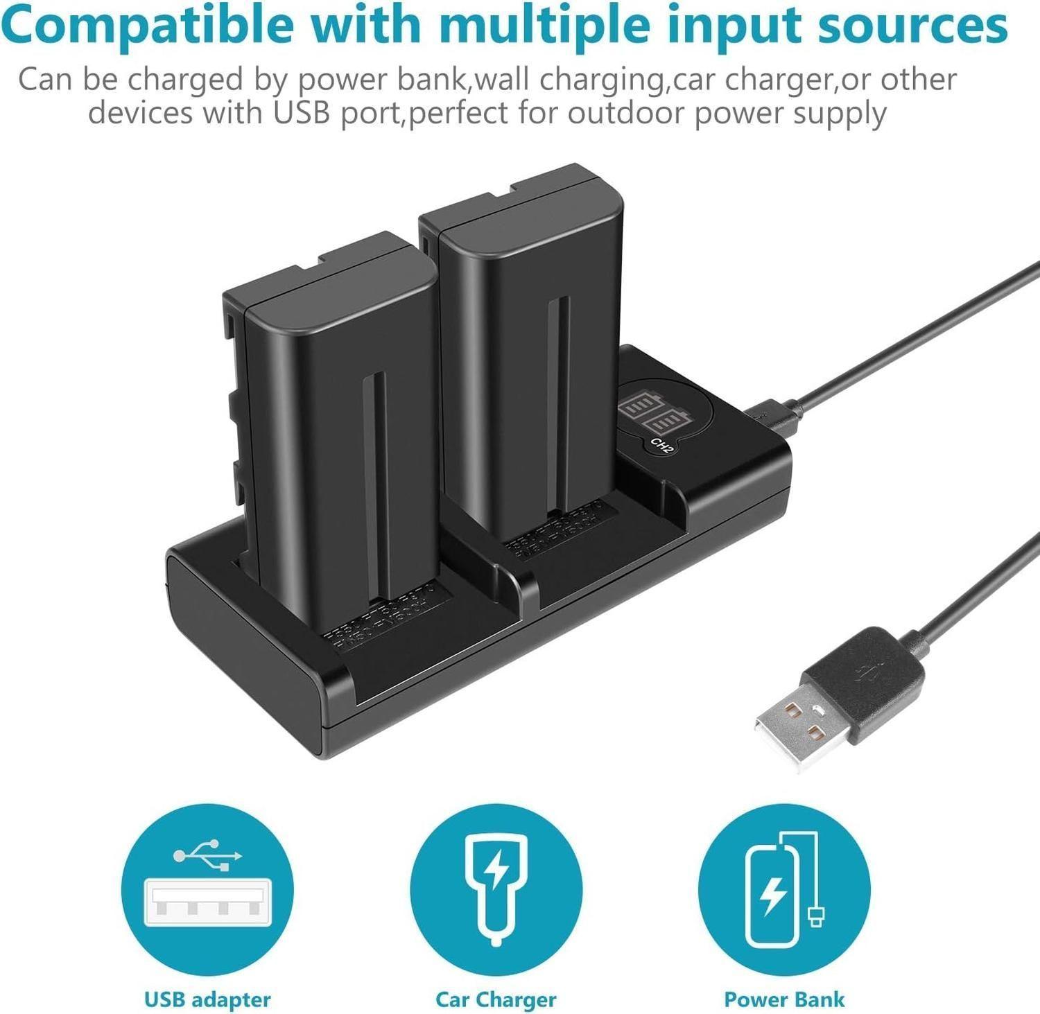 Kit 2 Baterías Neewer NP-F550 2600mAh con Cargador USB Dual-6