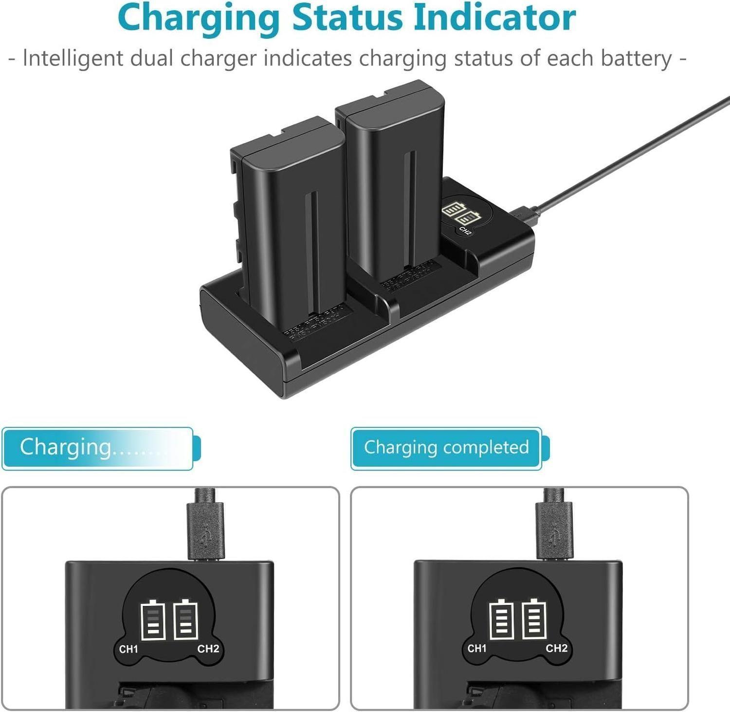 Kit 2 Baterías Neewer NP-F550 2600mAh con Cargador USB Dual-7