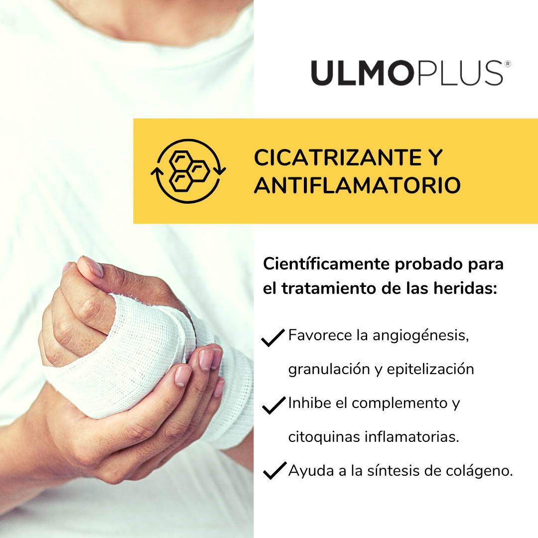 Ulmo Plus 30g - Andes Nutraclinic-4