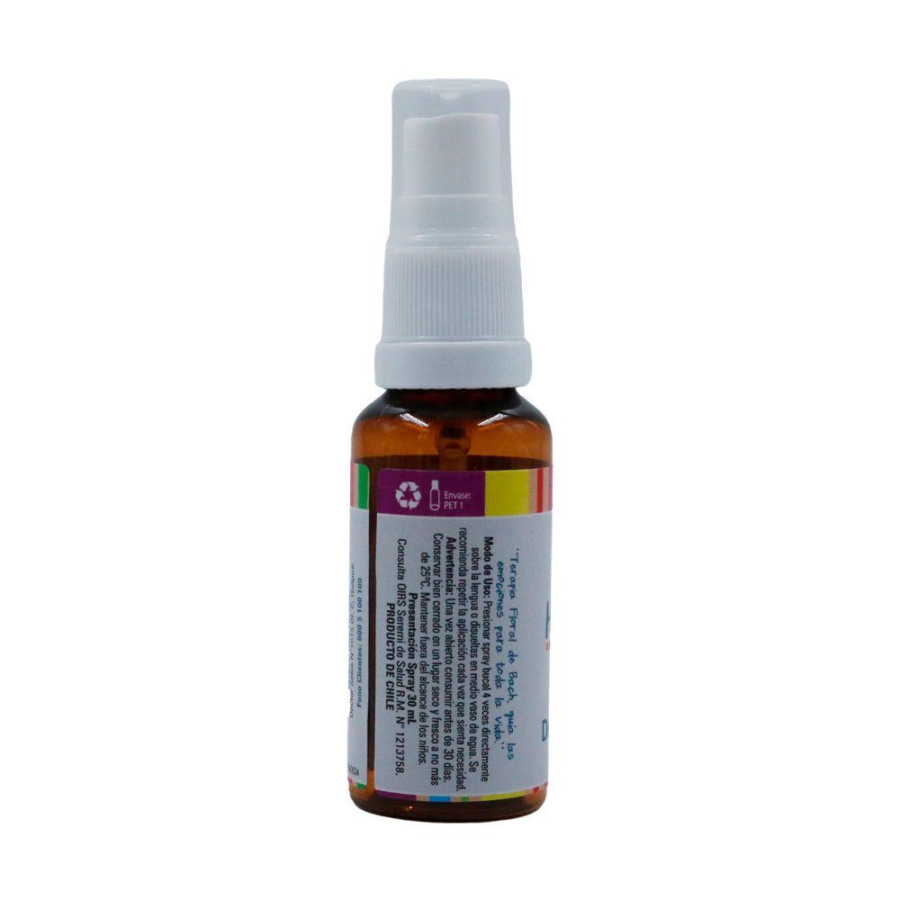 Esencia Homeofloral Deberes Escolares , 30 Ml Phk-3