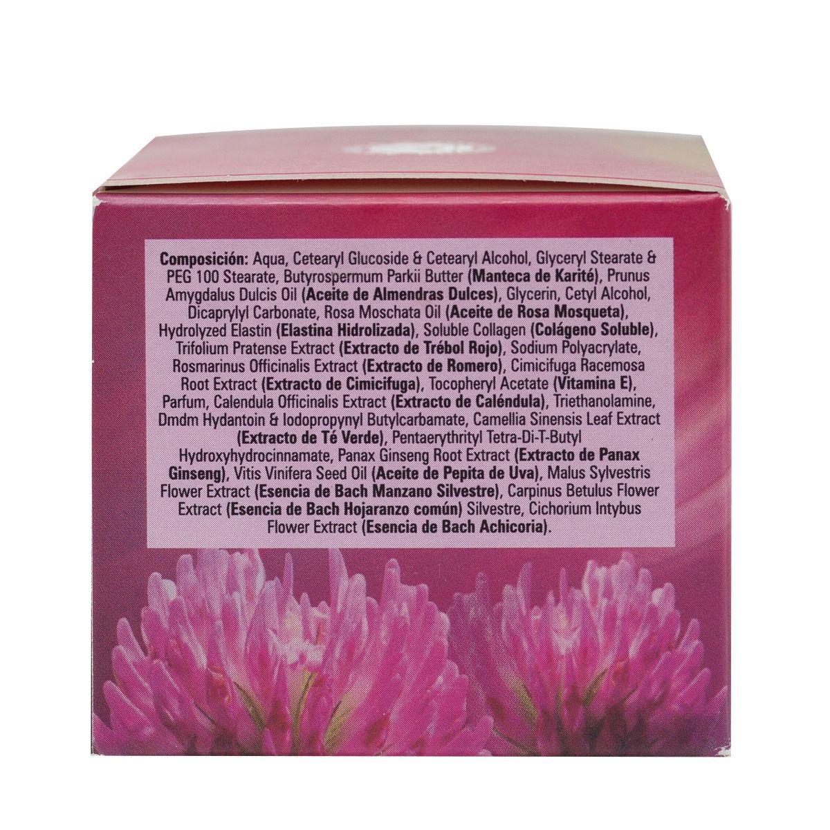 Fitoskin Crema Facial Noche Anti-Aging 50 G Pharma Knop-3