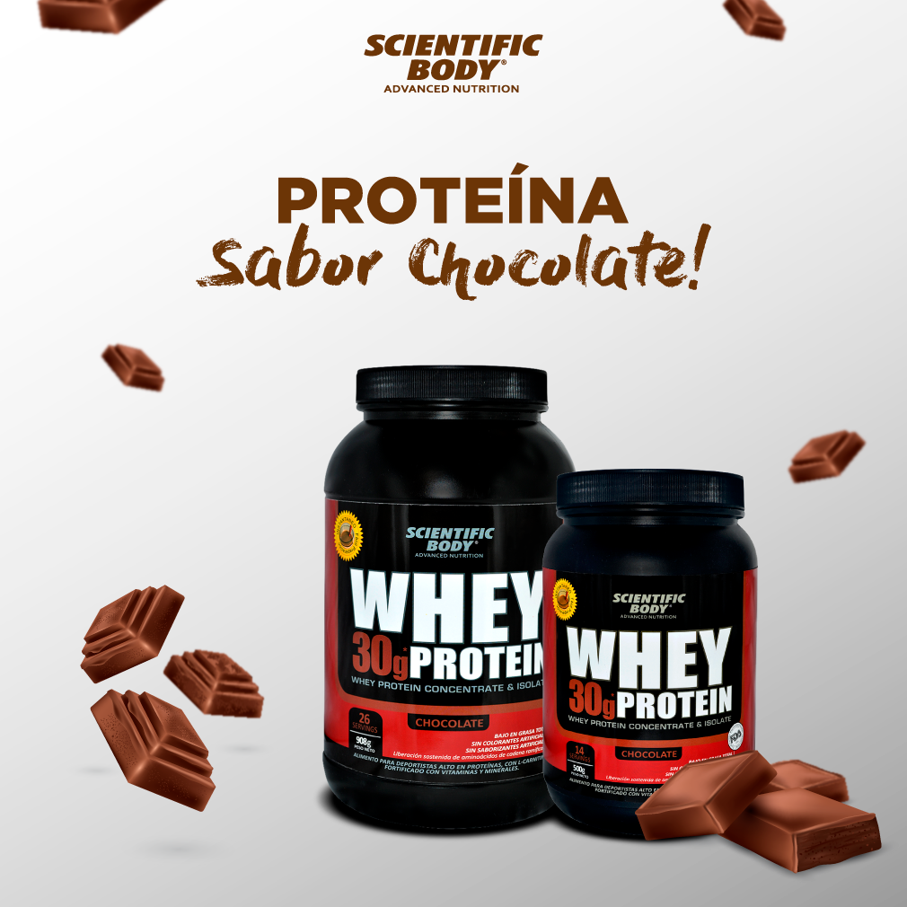 Whey Protein Chocolate 500 g - Scientific Body-2